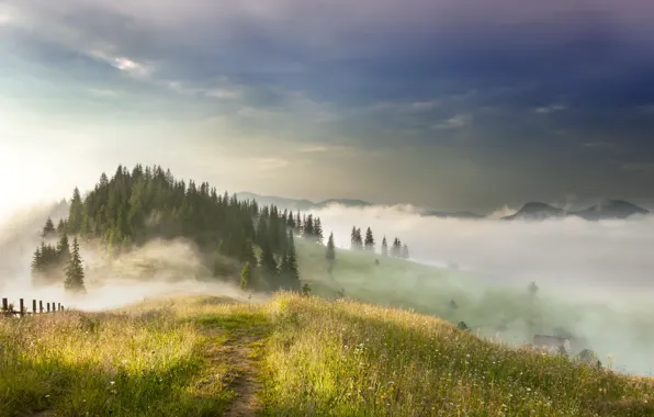 Картинка пейзаж, горы, туман