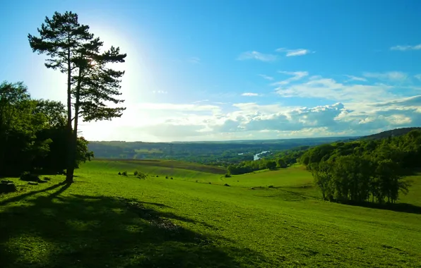 Поле, лето, небо, Природа, summer, sky, field, nature