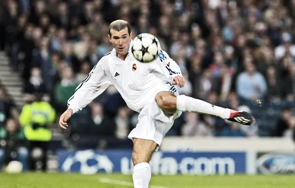 Football, Реал Мадрид, Real Madrid, Zinedine Zidane, Зинедин Зидан, League champions, легендарный гол