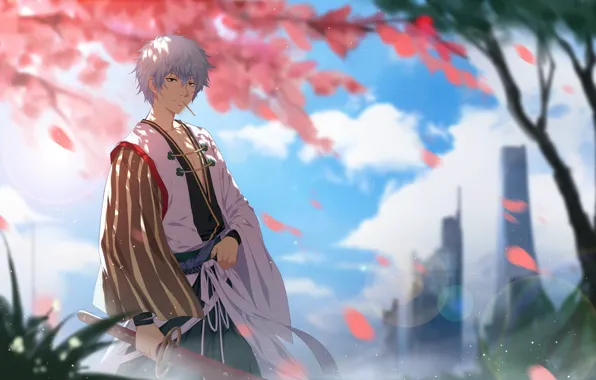 Аниме, арт, парень, Gintama, Саката Гинтоки