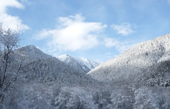 Картинка зима, лес, небо, облака, снег, деревья, горы, россия