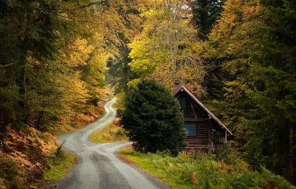 Картинка house, grass, road, trees, nature, Germany, plants, fall