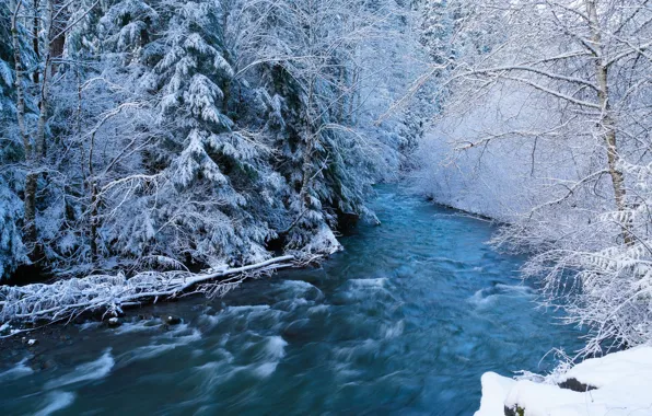Картинка зима, лес, снег, река, поток