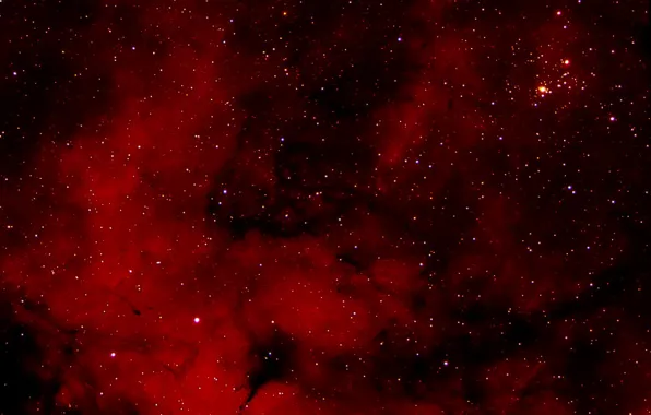 Картинка туманность, Лебедь, является, в созвездии, эмиссионная, диффузная, NGC 6910, рассеянное скопление