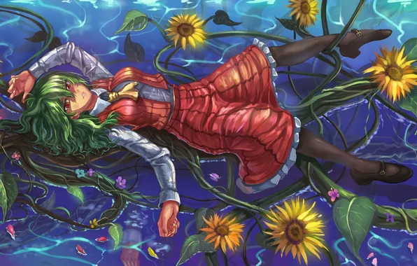 Картинка вода, девушка, подсолнухи, цветы, аниме, арт, touhou, kazami yuuka