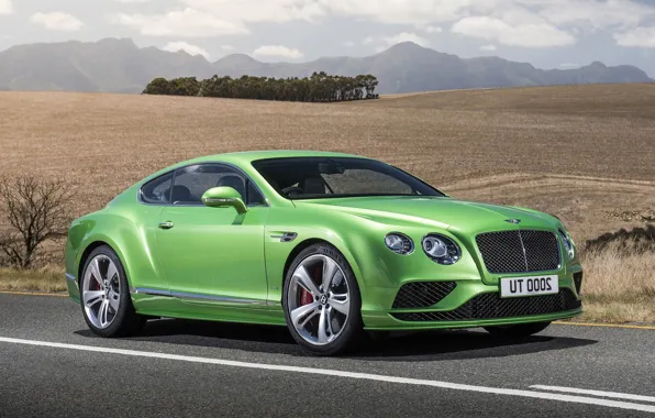 Car, Bentley, Bentley Continental GT4