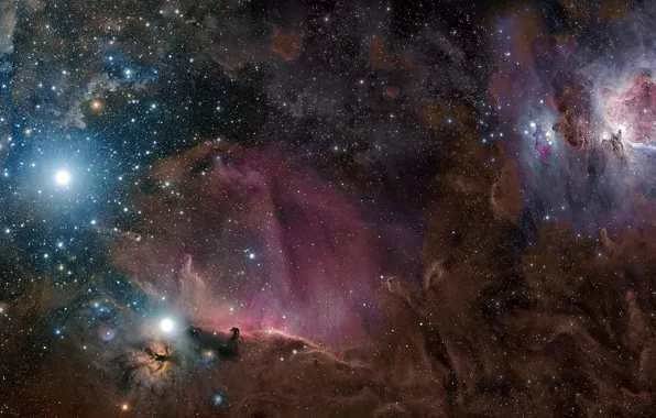 Звезды, туманность, пыль, газ, созвездие, Орион, M42