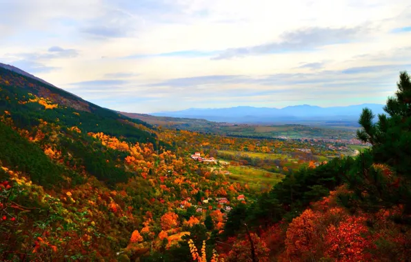 Картинка осень, лес, небо, деревья, горы, Природа, colors, forest