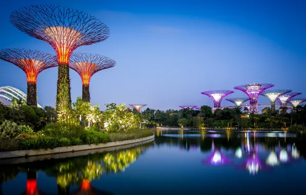 Вода, деревья, дизайн, огни, отражение, вечер, залив, Сингапур