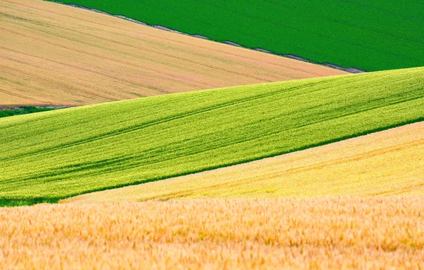 Дорога, Хоккайдо, Road, Hokkaido, Biei, Биэй, Wheat Field, Пшеничные поля