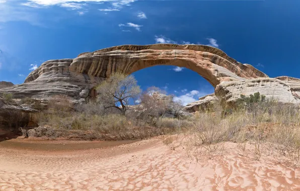 Картинка небо, скалы, арка, сша, кусты, Arches National Park, uta