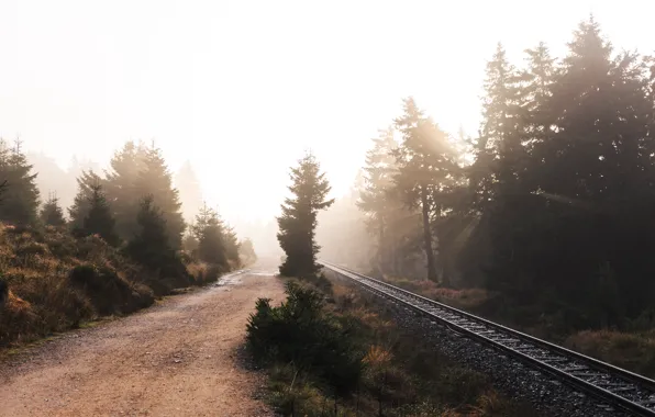 Картинка дорога, природа, туман, железная дорога