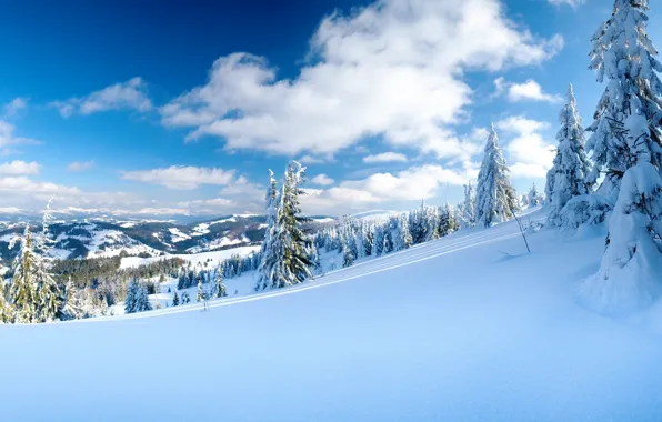 Картинка зима, облака, снег, деревья, природа, пейзажи, склоны