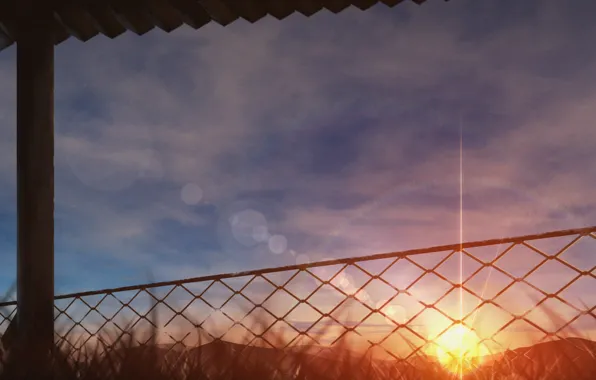 Солнце, природа, забор