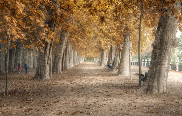Landscape, Spain, Madrid