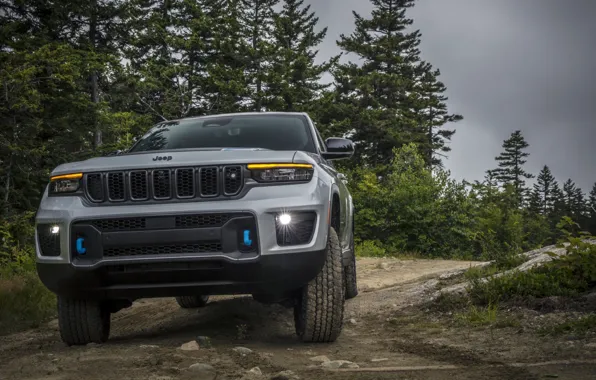 Деревья, мощь, road, trees, power, экстерьер, Jeep, Grand Cherokee