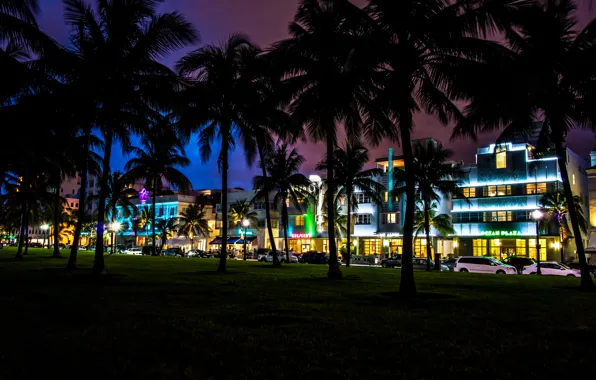 Картинка ночь, пальмы, дома, Майами, Флорида, Miami, автомобили, florida