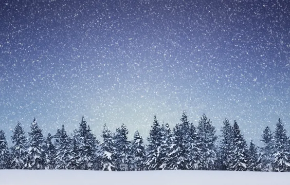 Картинка зима, снег, деревья, пейзаж, снежинки, природа, ель, хвойный лес