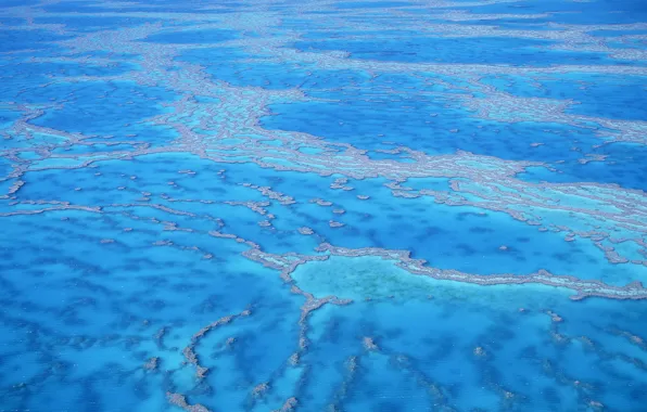 Море, вода, отмель, лазурь