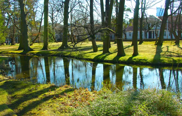 Trees, water, park, pond