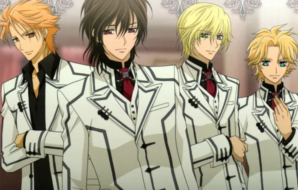 Узор, форма, вампиры, kuran kaname, студенты, vampire knight, рыцарь-вампир, aidou hanabusa