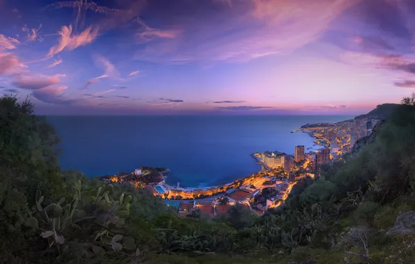 Море, город, побережье, вечер, панорама, Монако