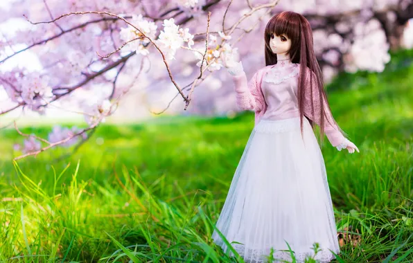 Картинка весна, grass, травка, spring, куколка, цветущие деревья, doll, flowering trees
