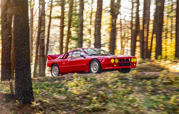 Car, forest, Lancia, Rally, 1982, Lancia Rally 037 Stradale
