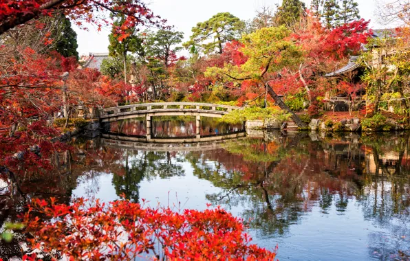 Осень, листья, деревья, мост, озеро, парк, Япония, Japan