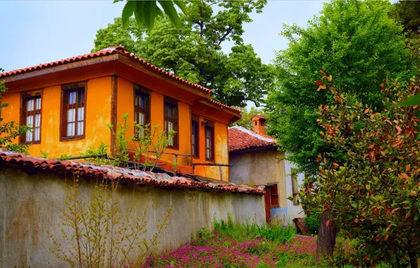 Картинка Весна, Деревья, Spring, Цветение, Trees, Old house, Старый дом, Flowering