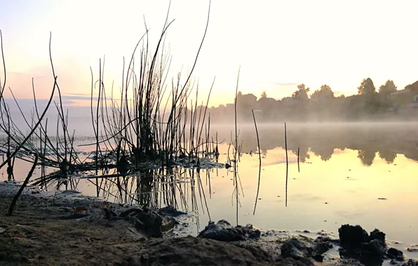 Вода, Природа, Туман, Озеро, Рассвет
