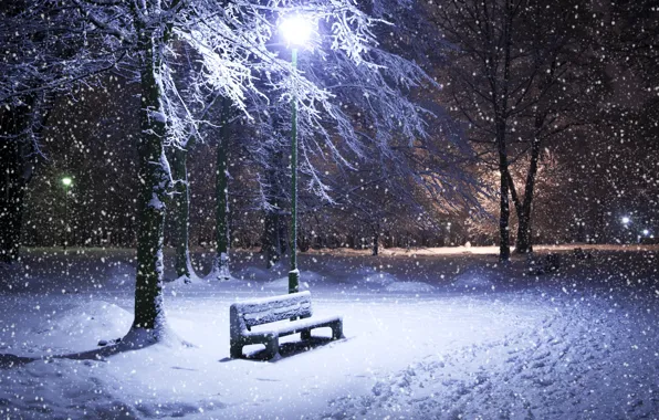 Картинка зима, снег, деревья, ночь, парк, фонарь, лавка