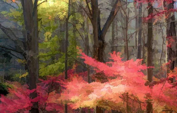 Картинка лес, деревья, природа, арт