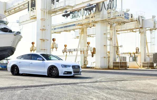 Audi, white, wheels