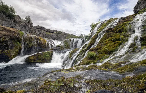 Зелень, природа, водопад, красота, Исландия, Iceland