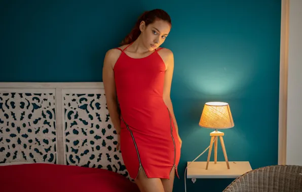 Model, awesome, redhead, bedroom, gorgeous, photoshoot, posing, red dress