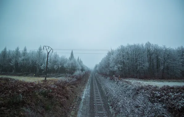 Лес, снег, железная дорога, лэп