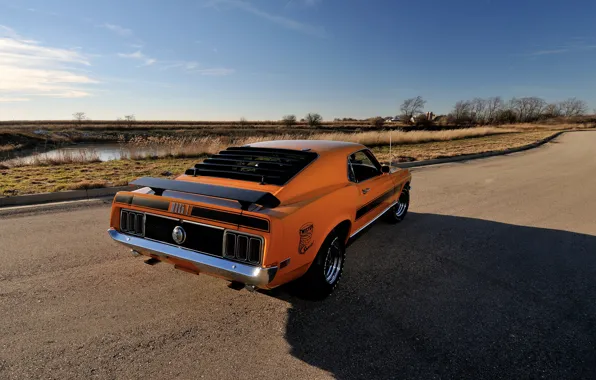 Mustang, Ford, 1970, 1 428, Mach