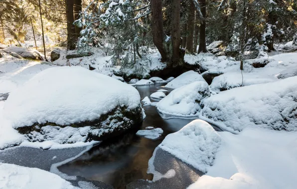 Картинка зима, лес, снег, деревья, пейзаж, природа, ручей, камни
