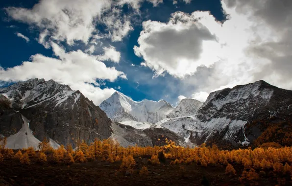 Осень, деревья, trees, autumn, mountain range, Горный хребет