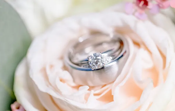 Цветок, кольца, свадьба, помолвка