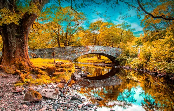 Картинка осень, лес, небо, облака, деревья, мост, парк, река