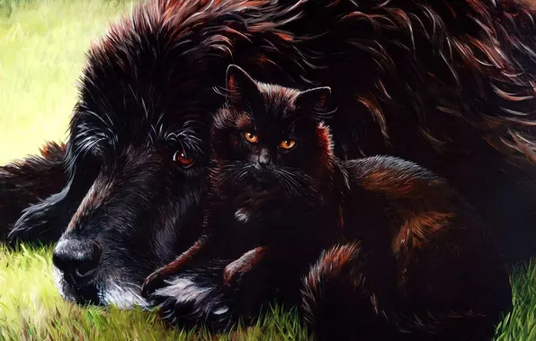 Кошка, кот, рисунок, собака