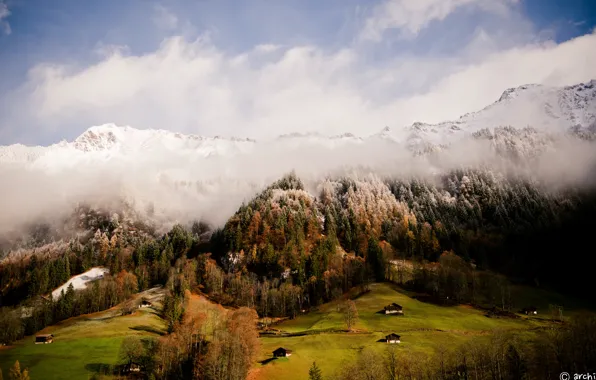 Grass, forest, sky, Switzerland, trees, nature, Europe, clouds