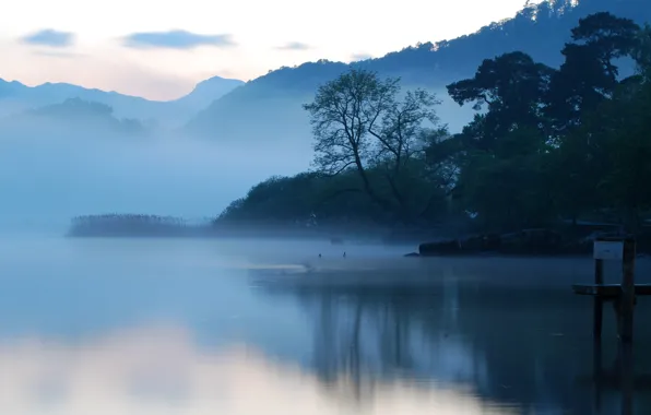 Water, morning, fog, Lake