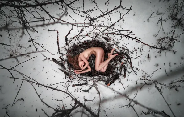 Girl, snow, nude, nest, Maxim Gustarev