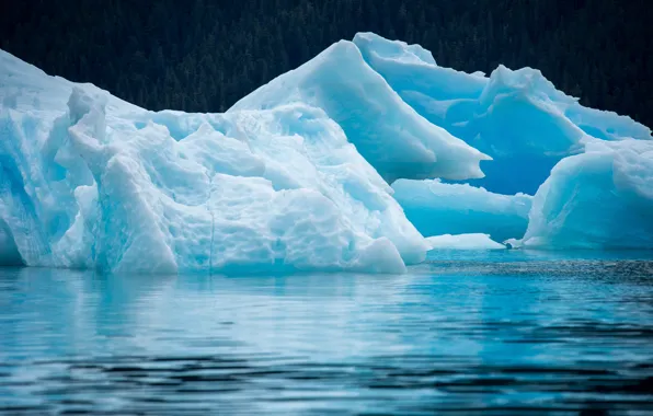 Картинка лед, море, природа, льдины