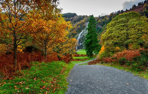 Картинка дорога, осень, лес, небо, листья, вода, облака, деревья