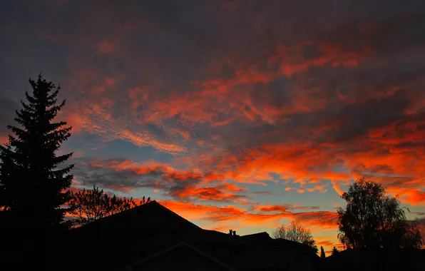 Картинка крыша, небо, облака, деревья, закат, дома, силуэт