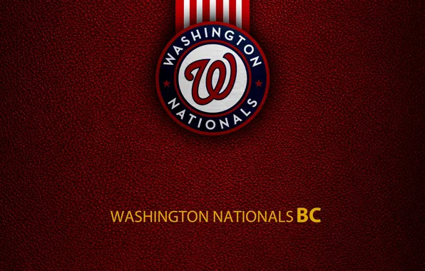 Wallpaper, sport, logo, baseball, Washington Nationals